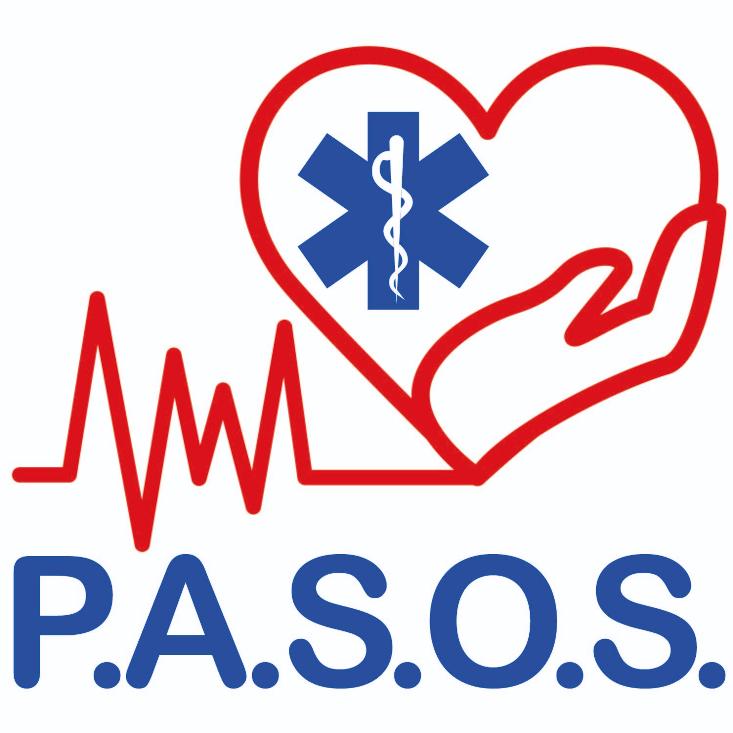 P.A.S.O.S Capacitación